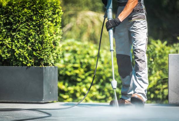 Best Building Exterior Washing  in Campti, LA